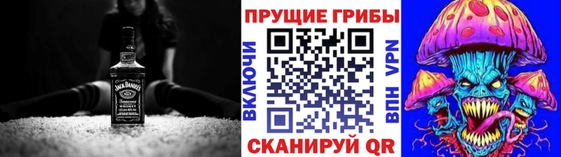 Галлюциногенные грибы Psilocybine cubensis  Петровск-Забайкальский 